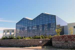 Supertint Ltd photo 6