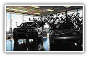 Freedom Ford - Edmonton, AB