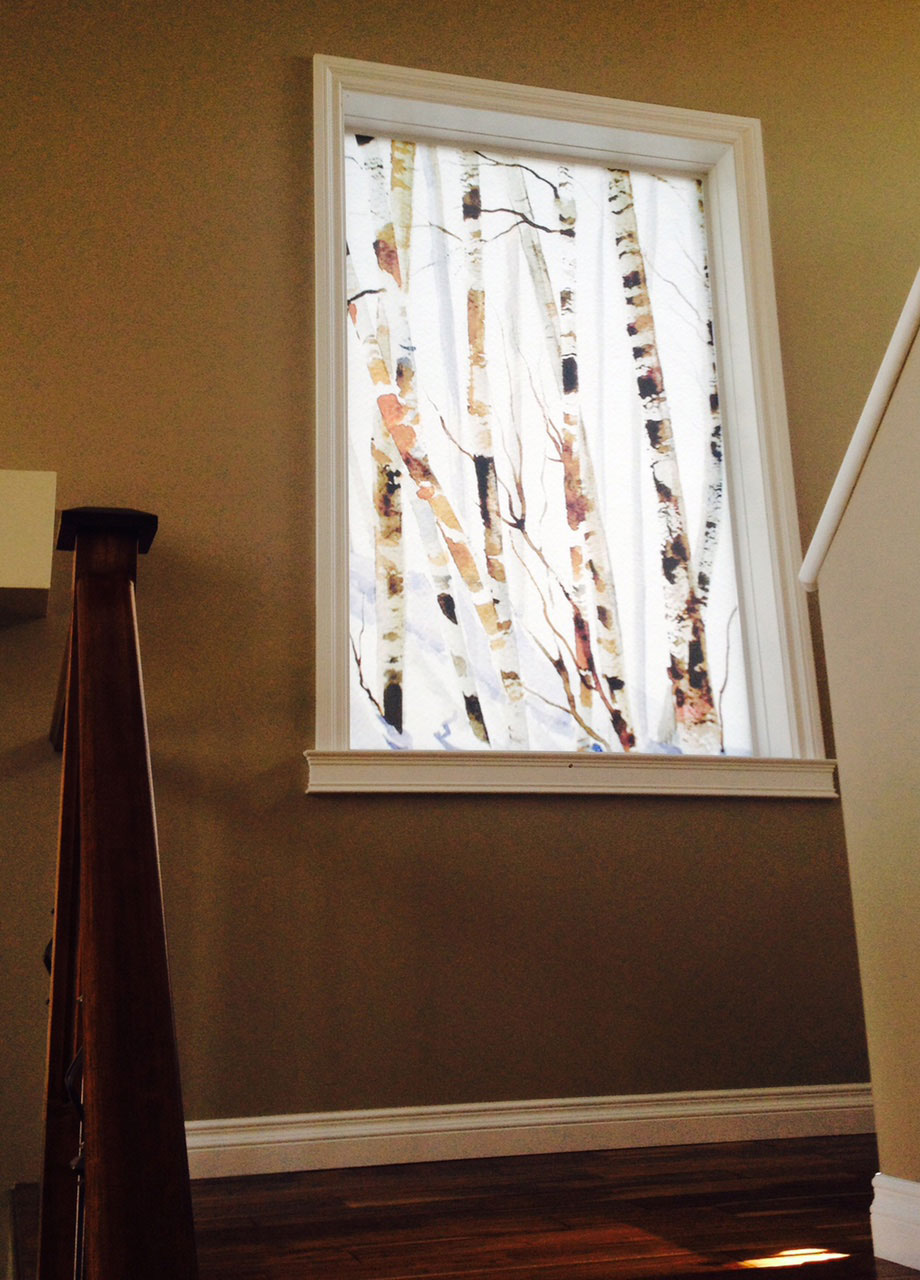 Window Graphics Installation Photos